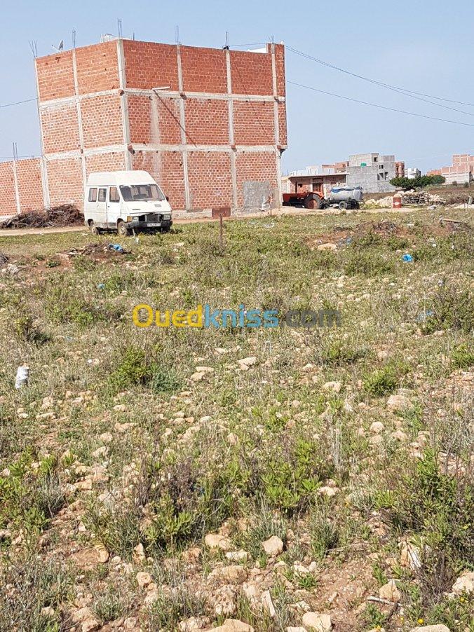 Vente Terrain Tlemcen Souahlia