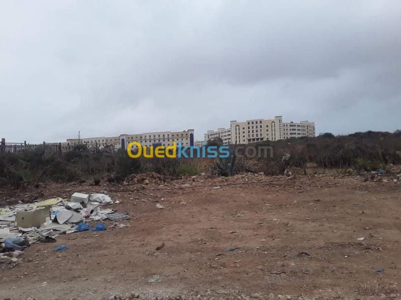 Vente Terrain Oran Bir el djir