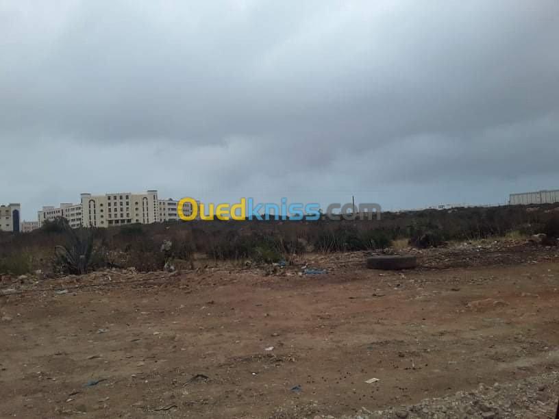 Vente Terrain Oran Bir el djir