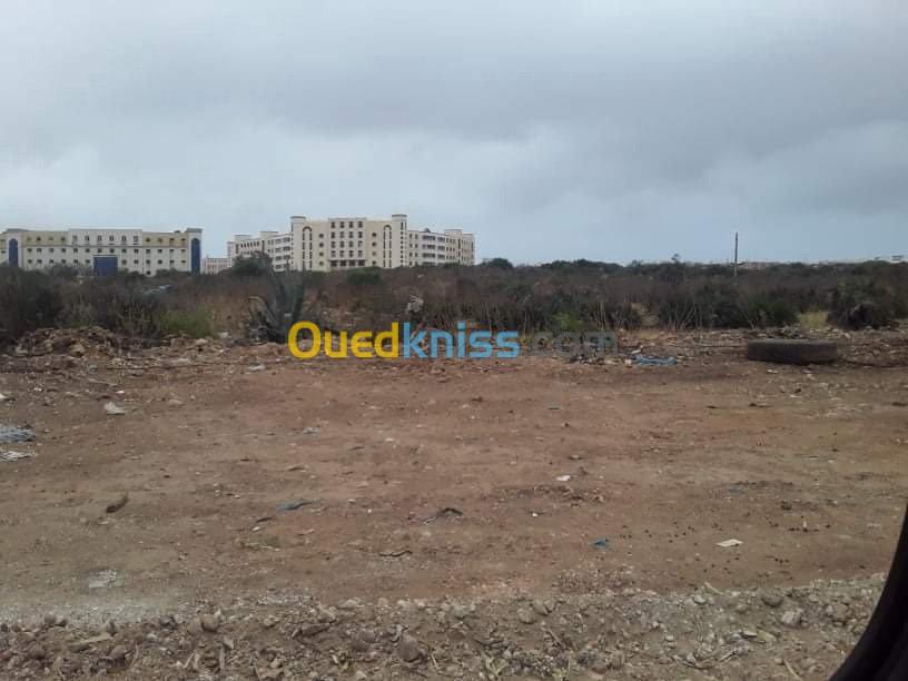 Vente Terrain Oran Bir el djir