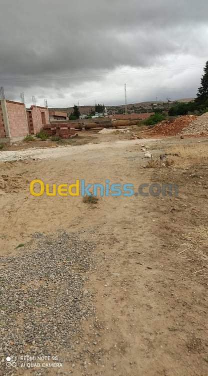 Vente Terrain Chlef Boukadir