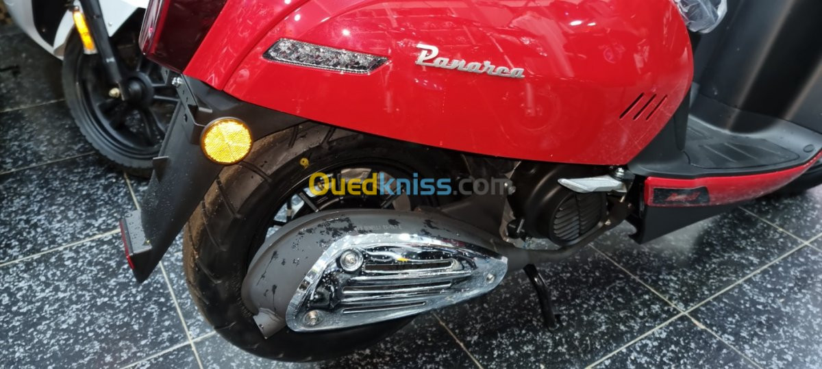 Benelli Panarea 2024