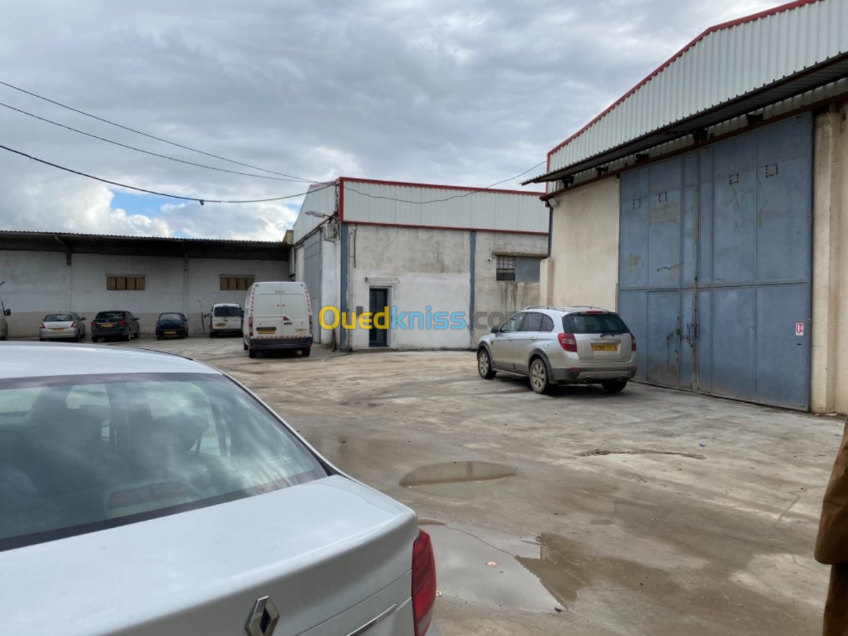 Location Hangar Alger Les eucalyptus