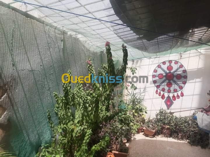 Vente Appartement F3 Batna Batna