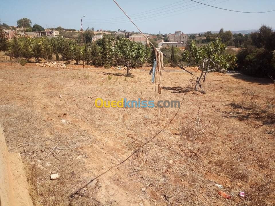 Vente Terrain Mostaganem Sidi ali