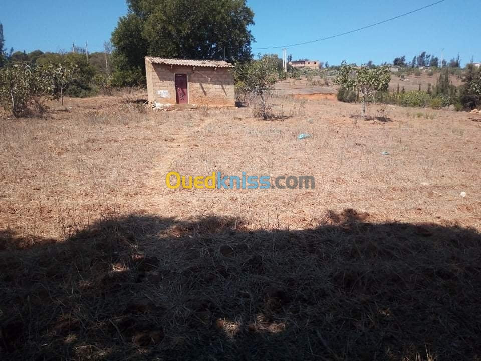 Vente Terrain Mostaganem Sidi ali