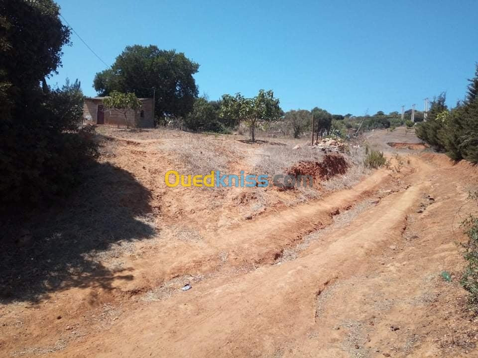 Vente Terrain Mostaganem Sidi ali