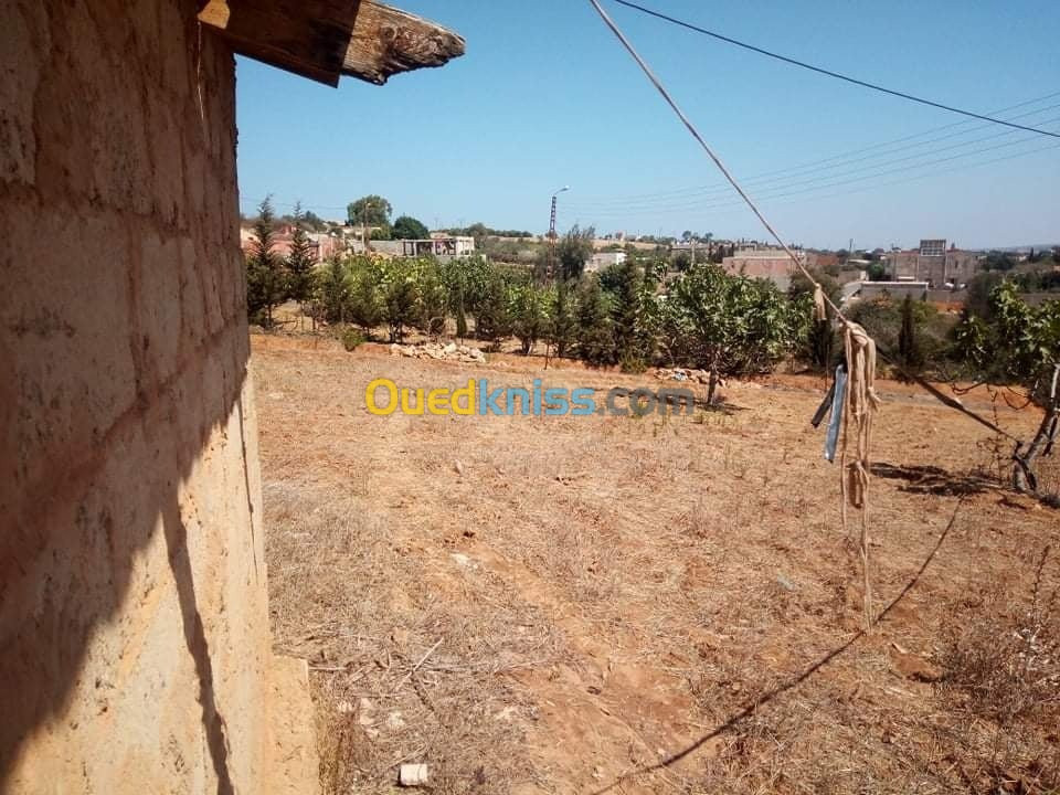 Vente Terrain Mostaganem Sidi ali