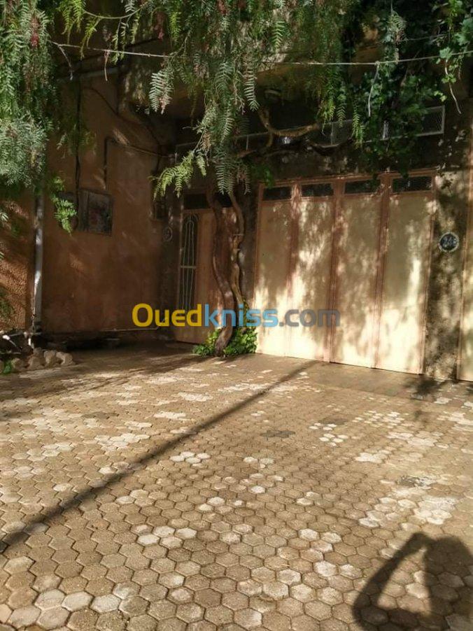 Vente Villa Djelfa Djelfa