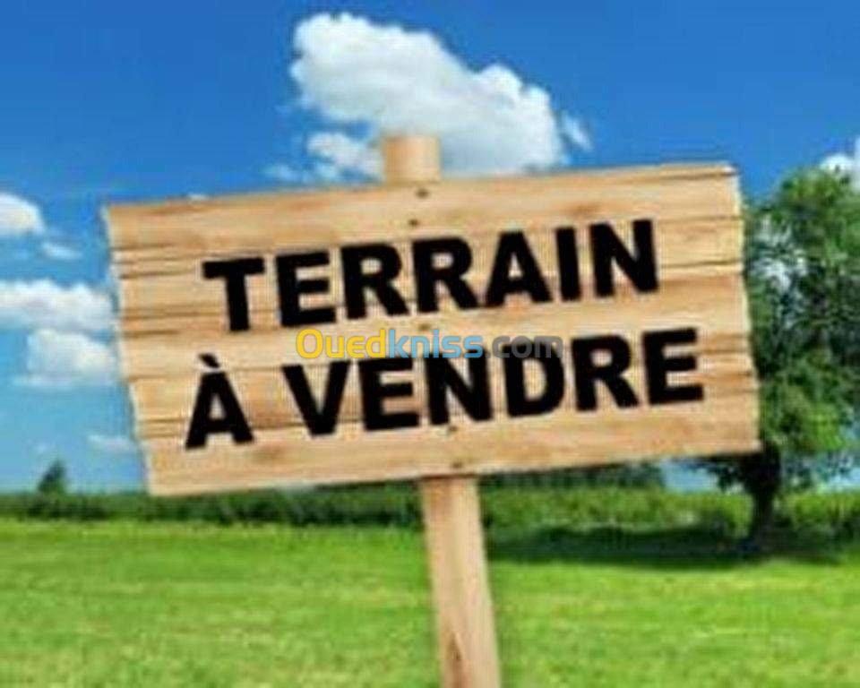 Vente Terrain Oum el bouaghi Ain fakroun