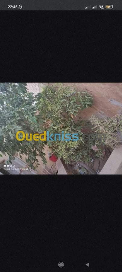 Vente Appartement F5 Laghouat Laghouat