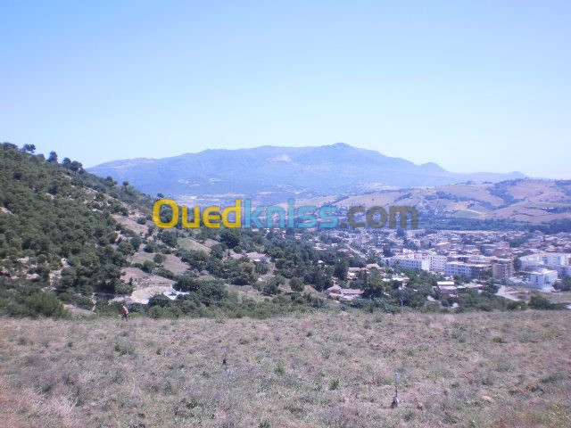 Vente Terrain Tipaza Sidi amar