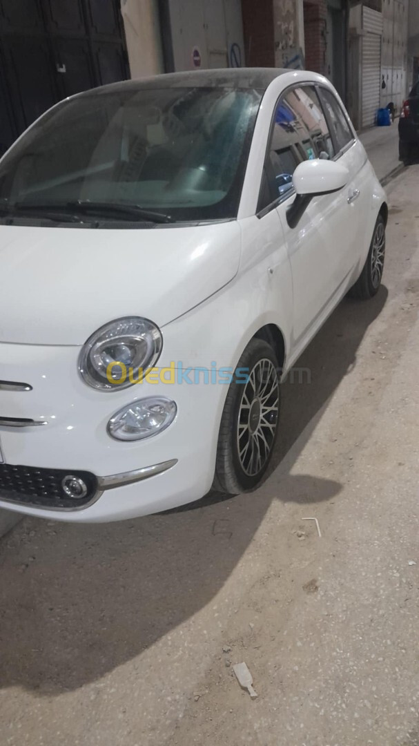 Fiat Fiât 500 dolcevita 2024 2024