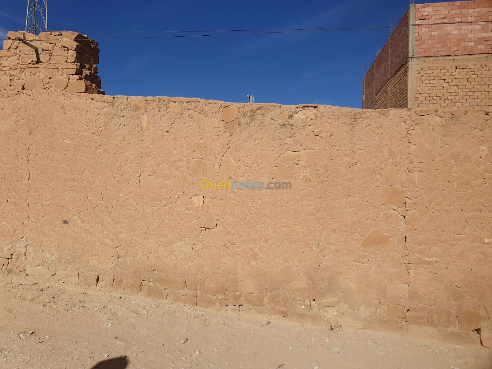 Vente Terrain Djelfa El idrissa