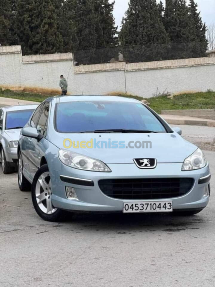 Peugeot 407 2004 407