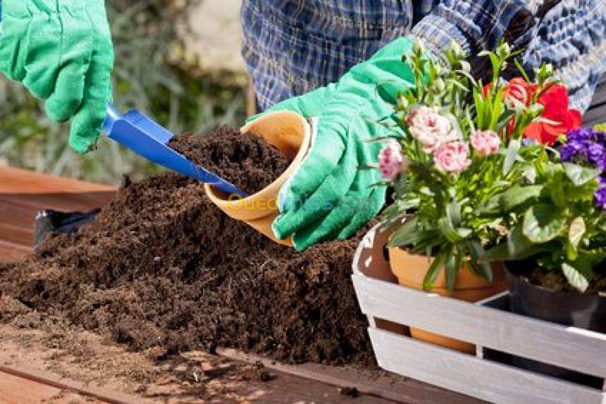 Travail dans pépiniére, botanique, magasin specialisé en jardinerie