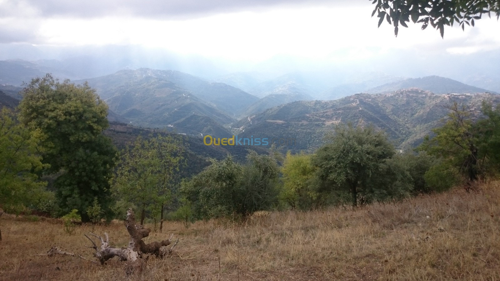 Vente Terrain Tizi Ouzou Ain el hammam