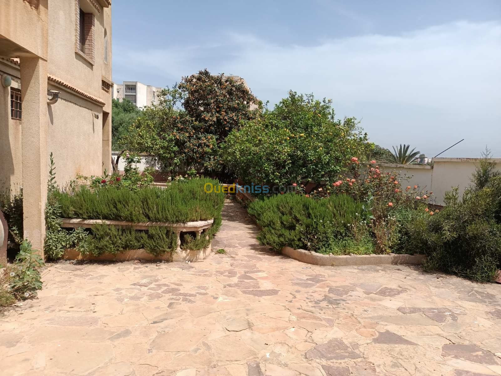 Vente Villa Alger Birkhadem