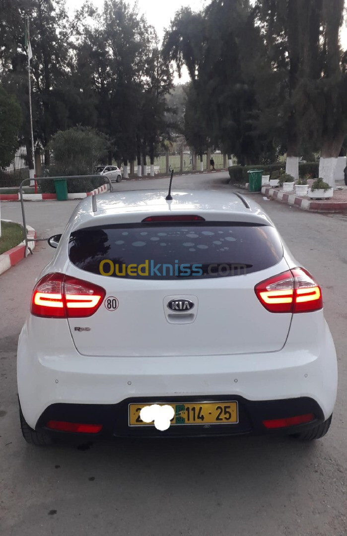 Kia Rio 5 portes 2014 Funny