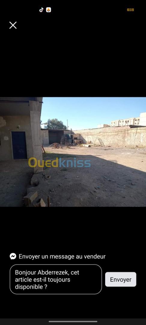 Location Hangar Chlef Oued fodda