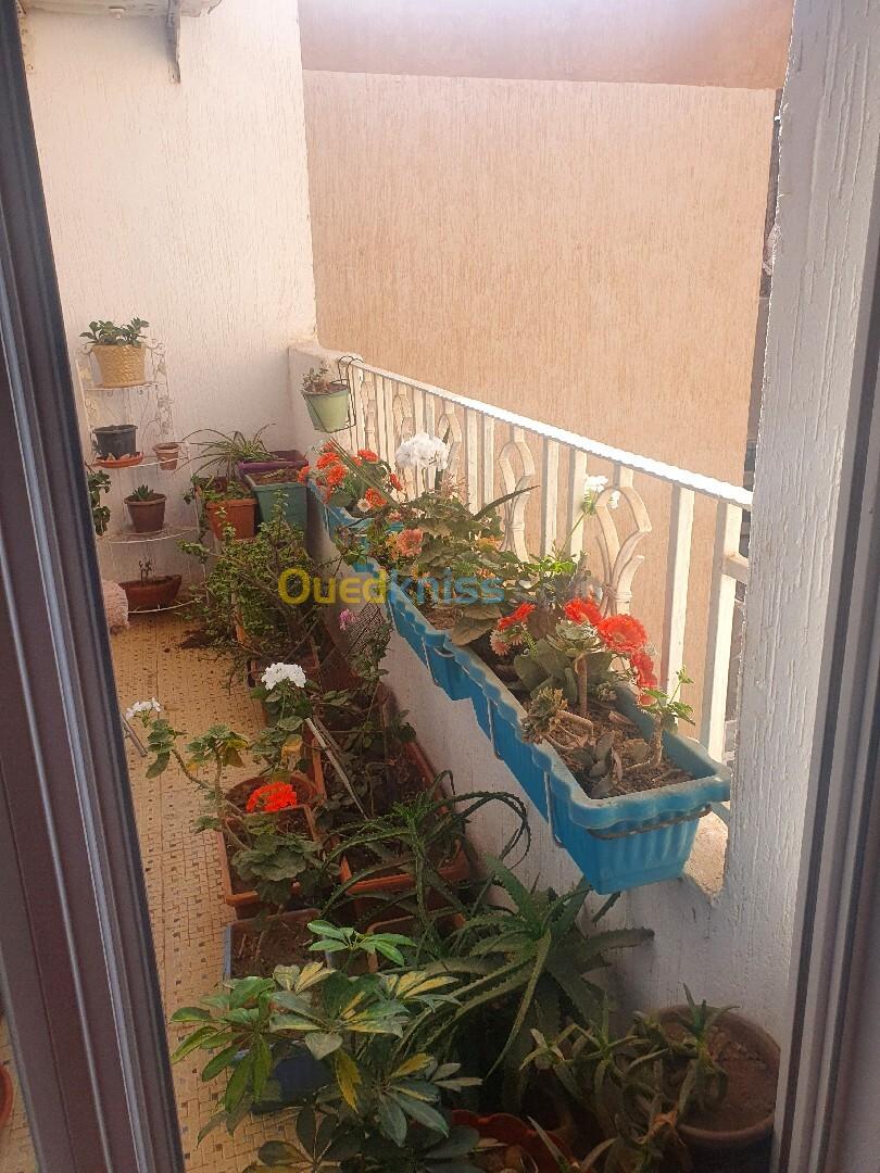 Vente Appartement F3 Oran Oran