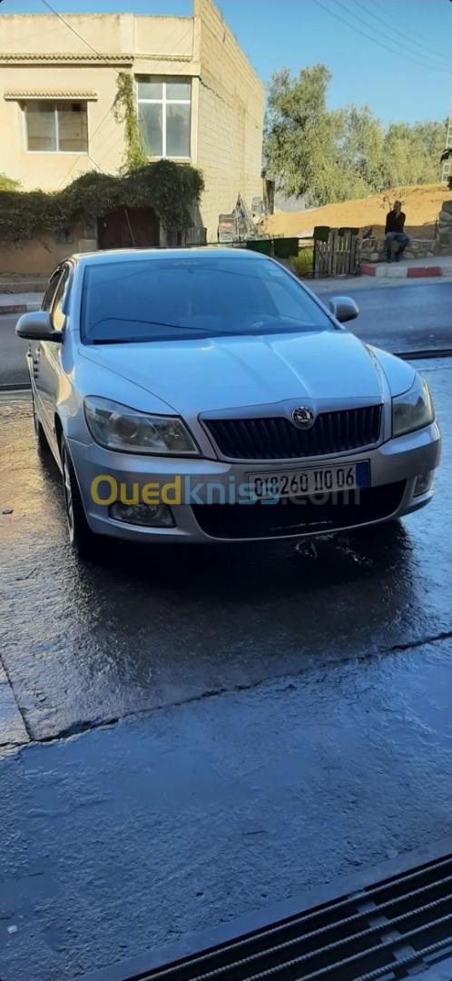 Skoda Octavia 2010 Octavia