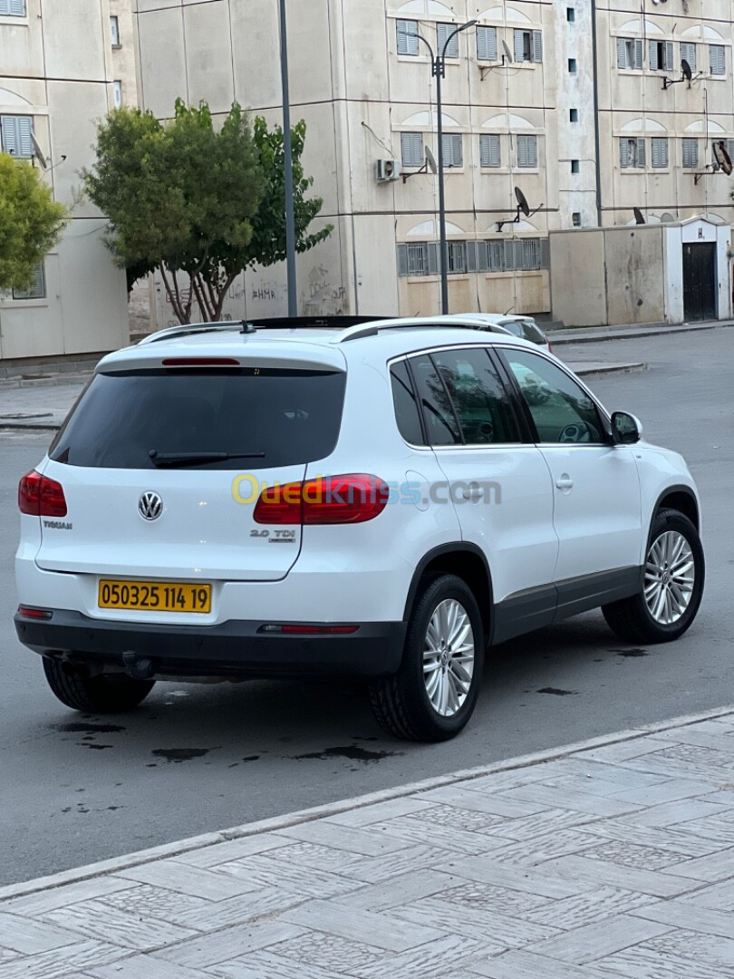 Volkswagen Tiguan 2014 Cup