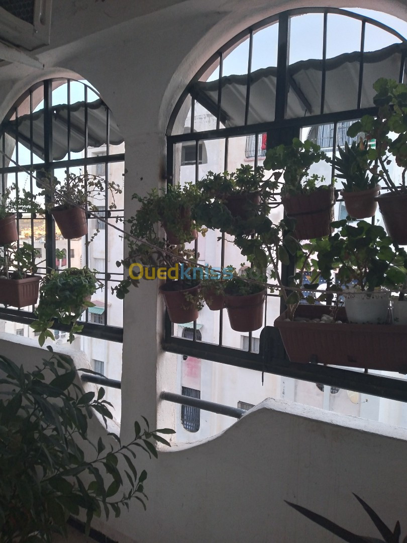 Echange Appartement F3 Souk ahras Souk ahras