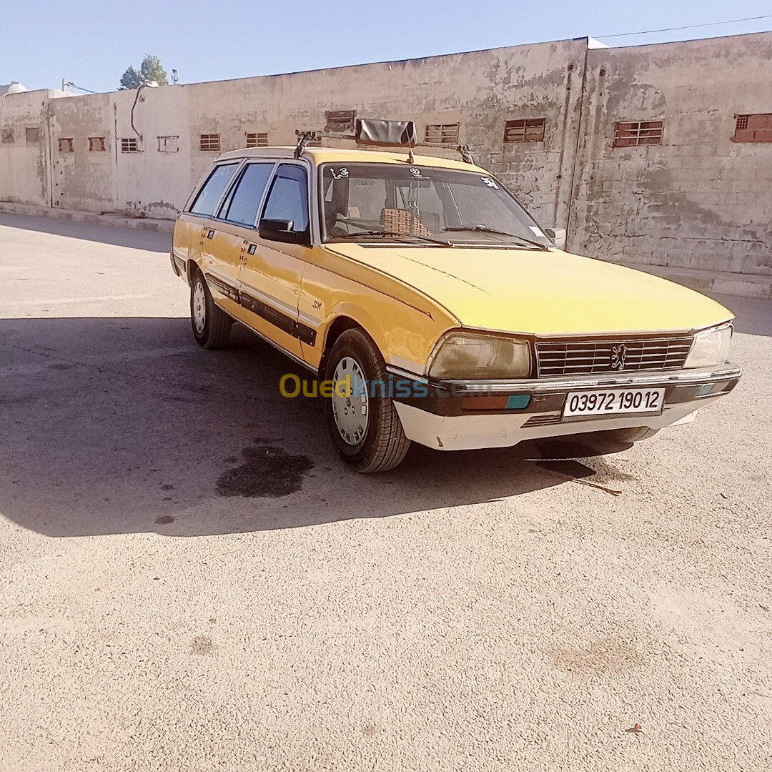 Peugeot 505 1990 505