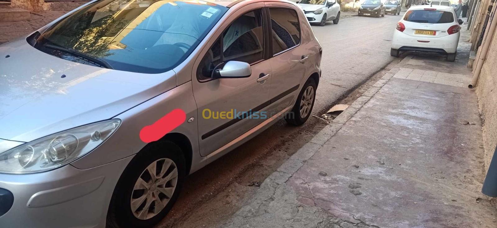 Peugeot 307 2006 307