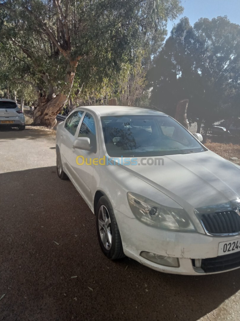 Skoda Octavia 2013 Ambiente