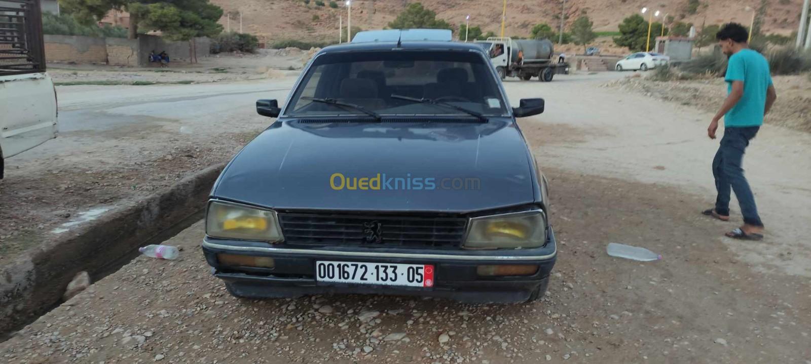 Peugeot 505 1989 505