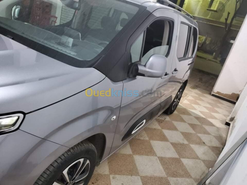 Citroen Berlingo 2019 Berlingo