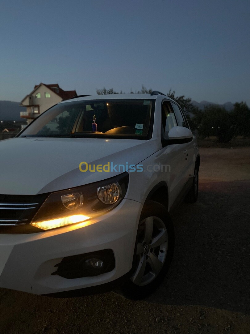 Volkswagen Tiguan 2012 Style