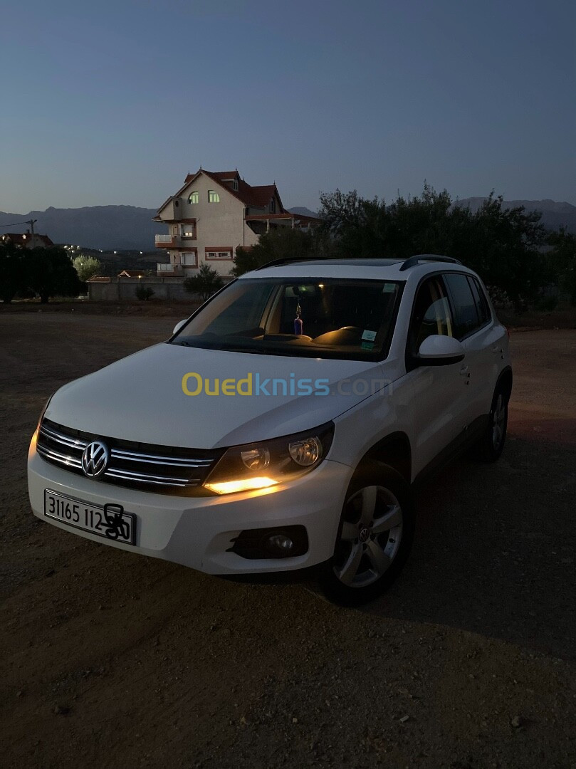 Volkswagen Tiguan 2012 Style