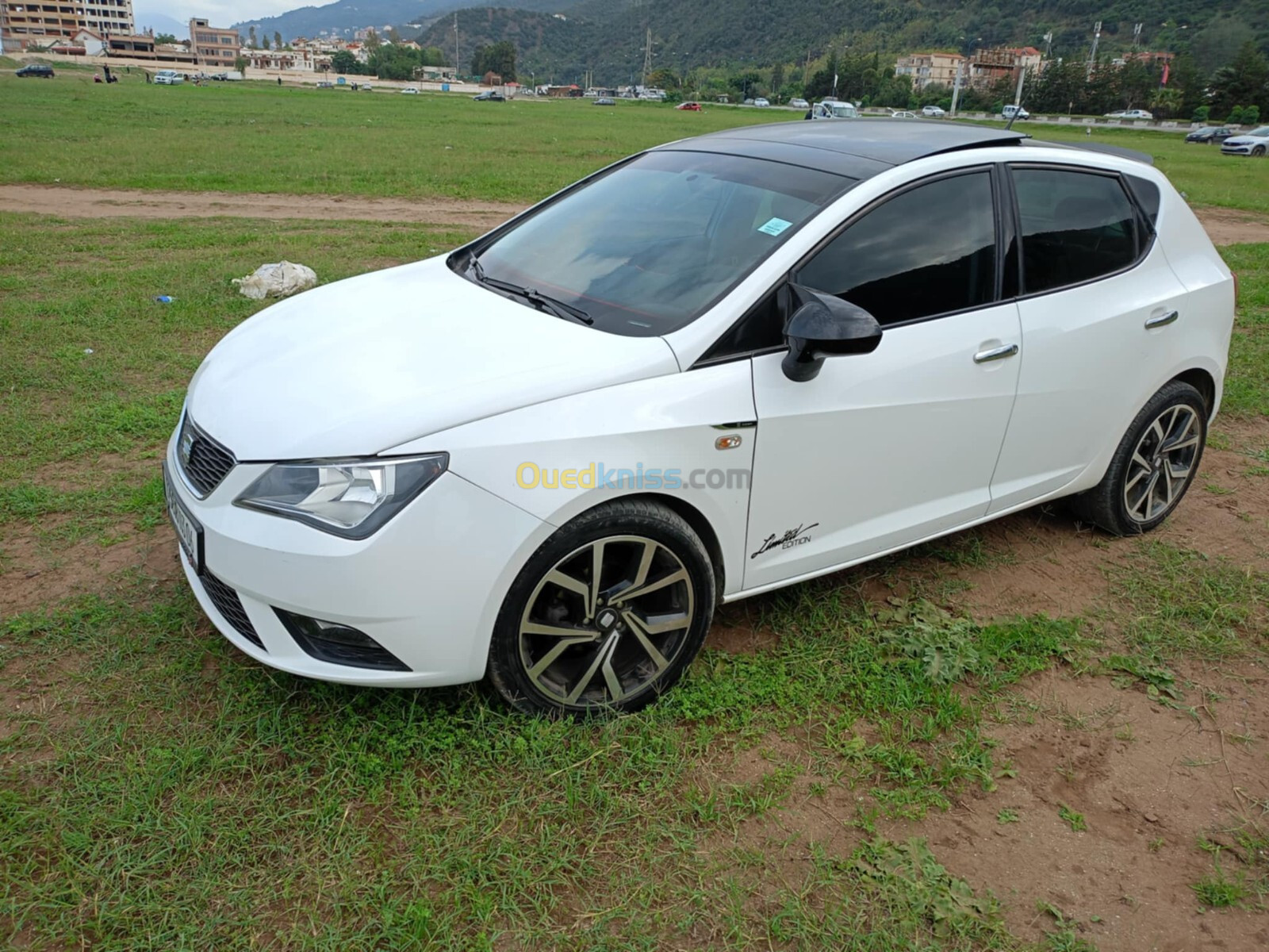 Seat Ibiza 2013 Fully