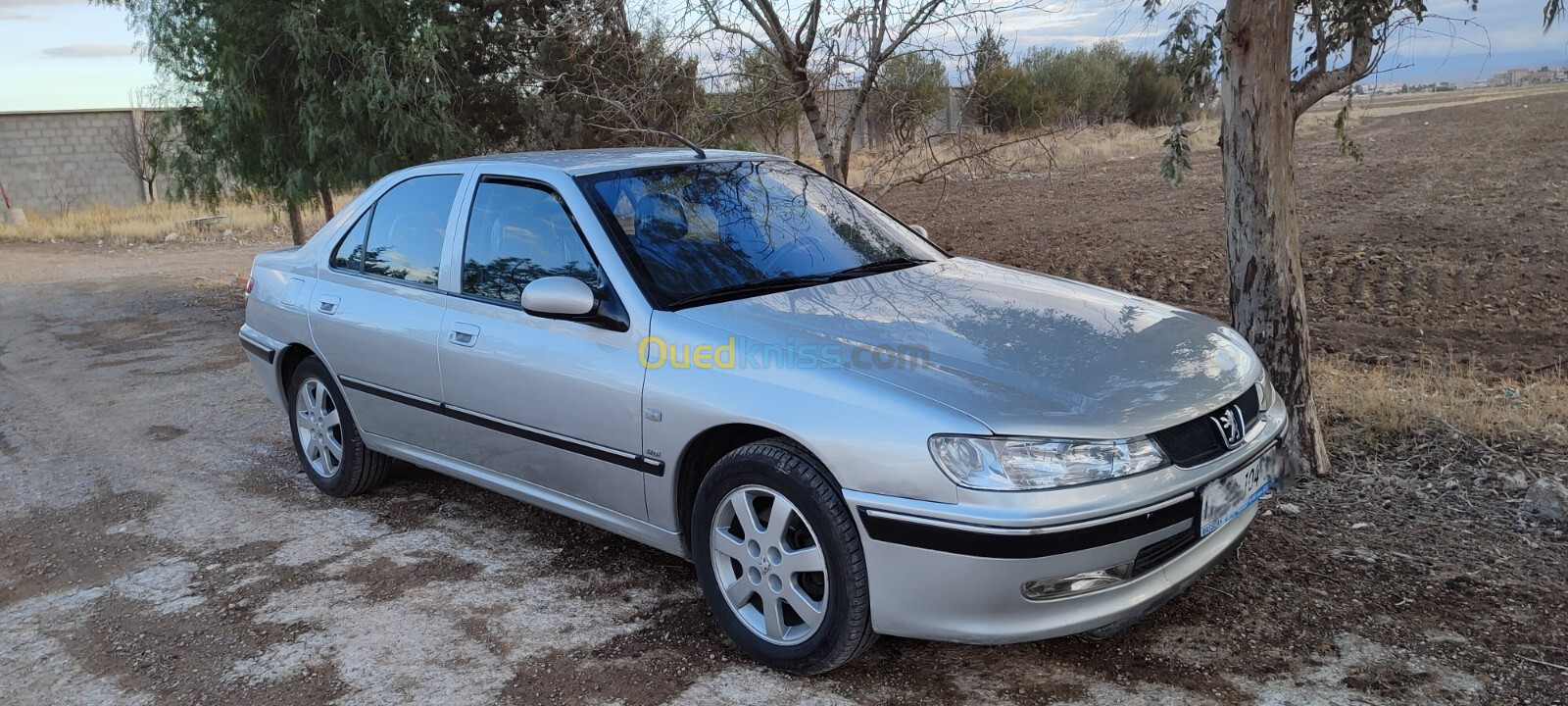 Peugeot 406 2004 406