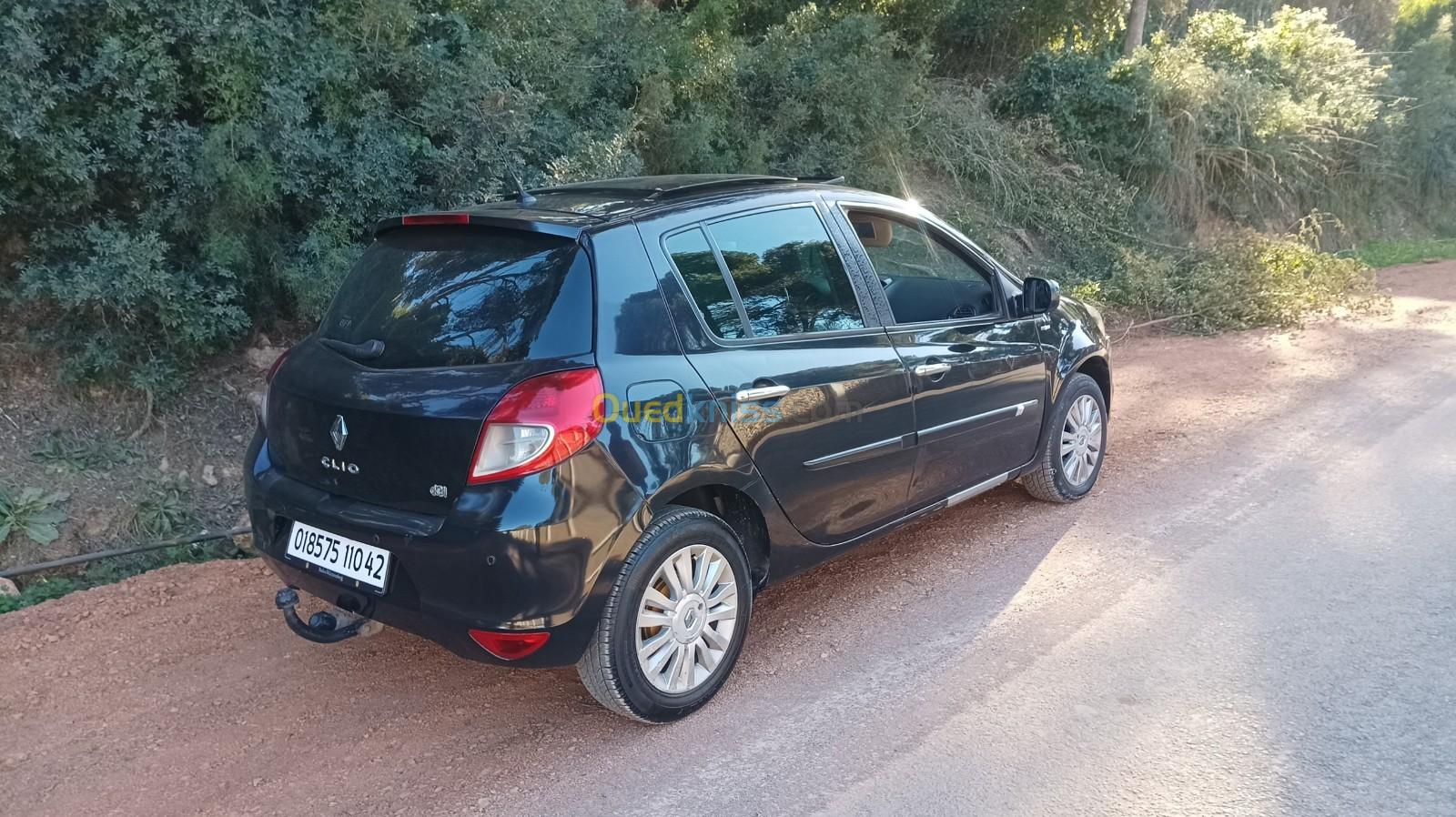 Renault Clio 3 2010 Clio 3