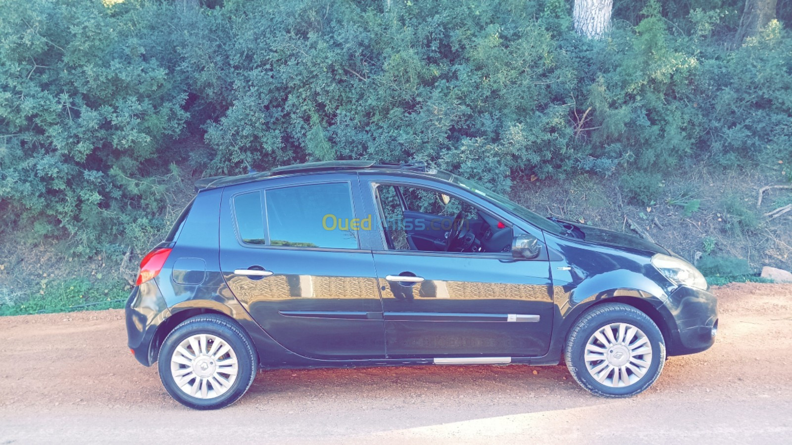 Renault Clio 3 2010 Clio 3