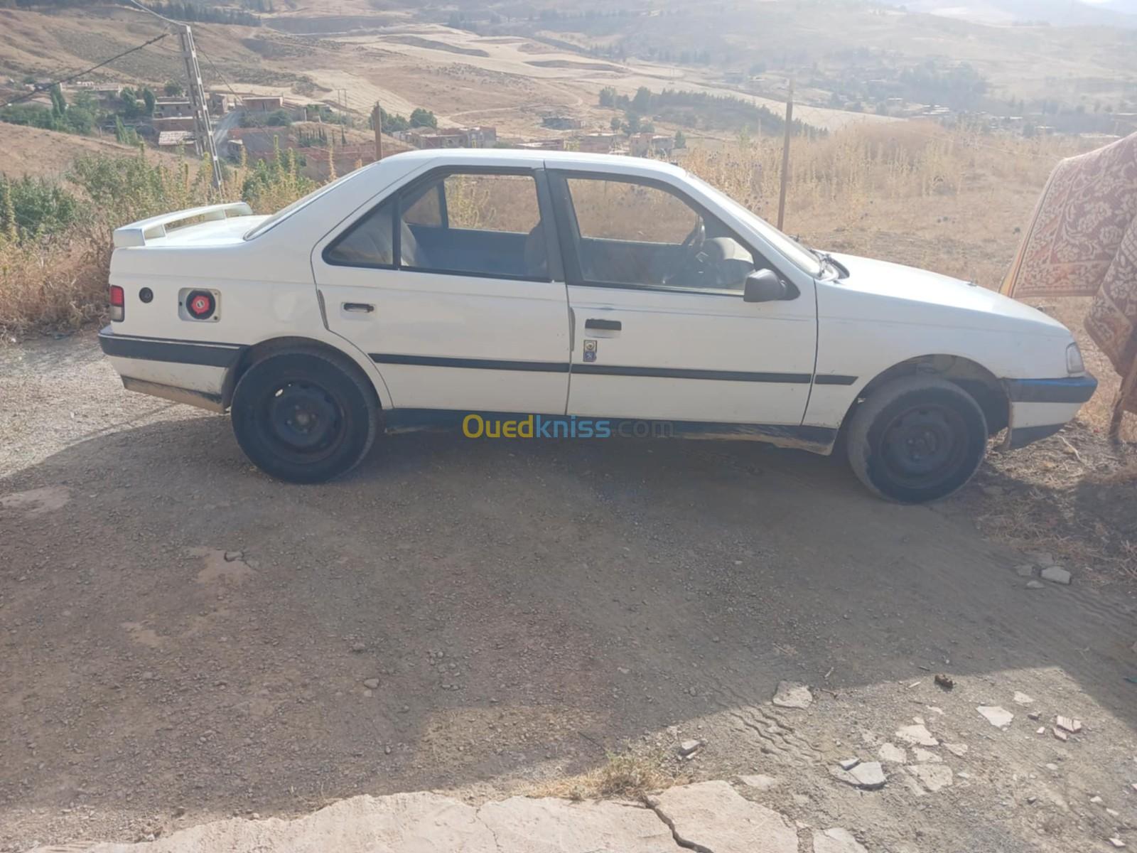 Peugeot 405 1989 405