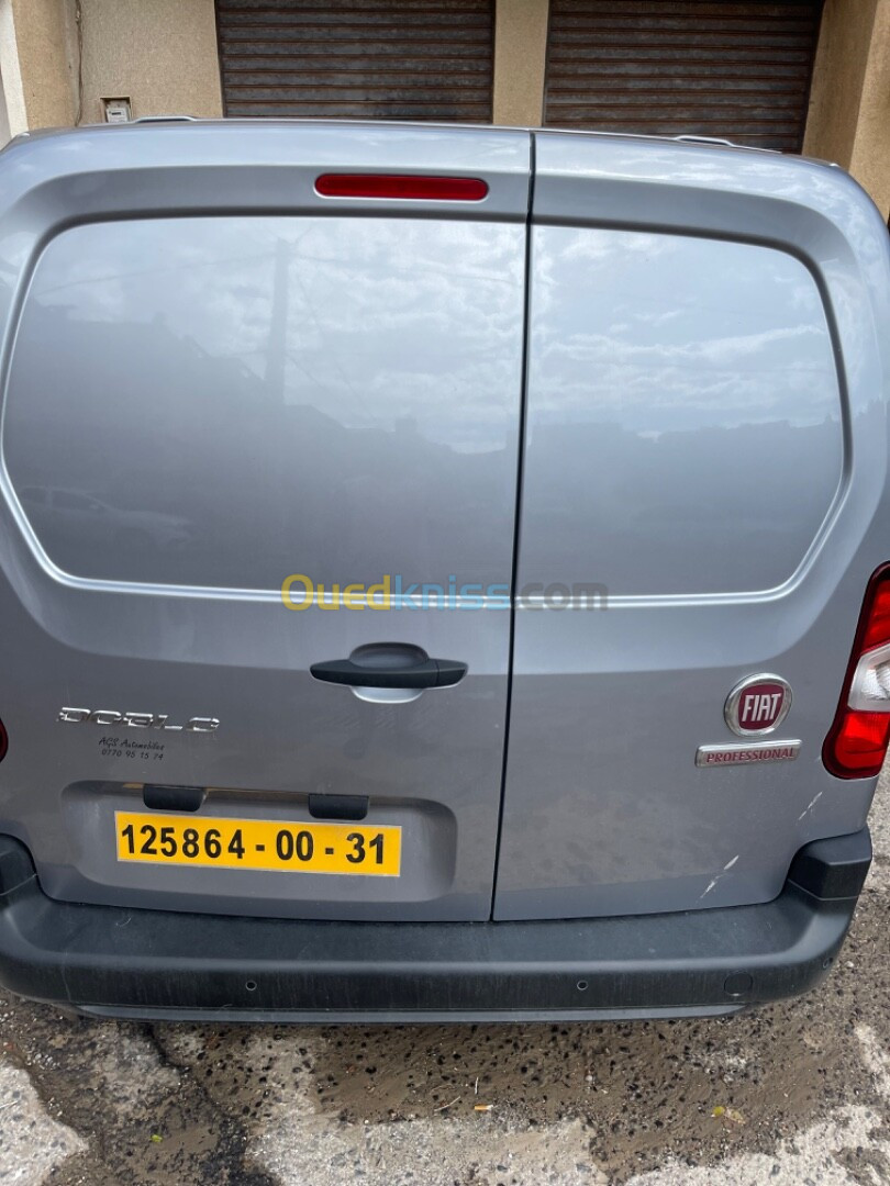 Fiat Doblo 2024 Doblo wahrani