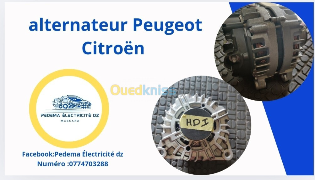 Alternateur démarreur Renault Peugeot 