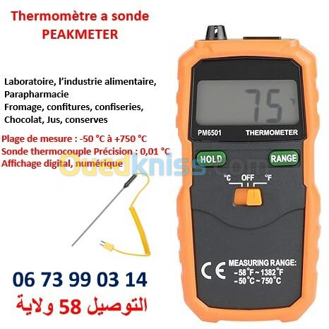 Thermomètre à sonde professionnel : -50 C à +750 C