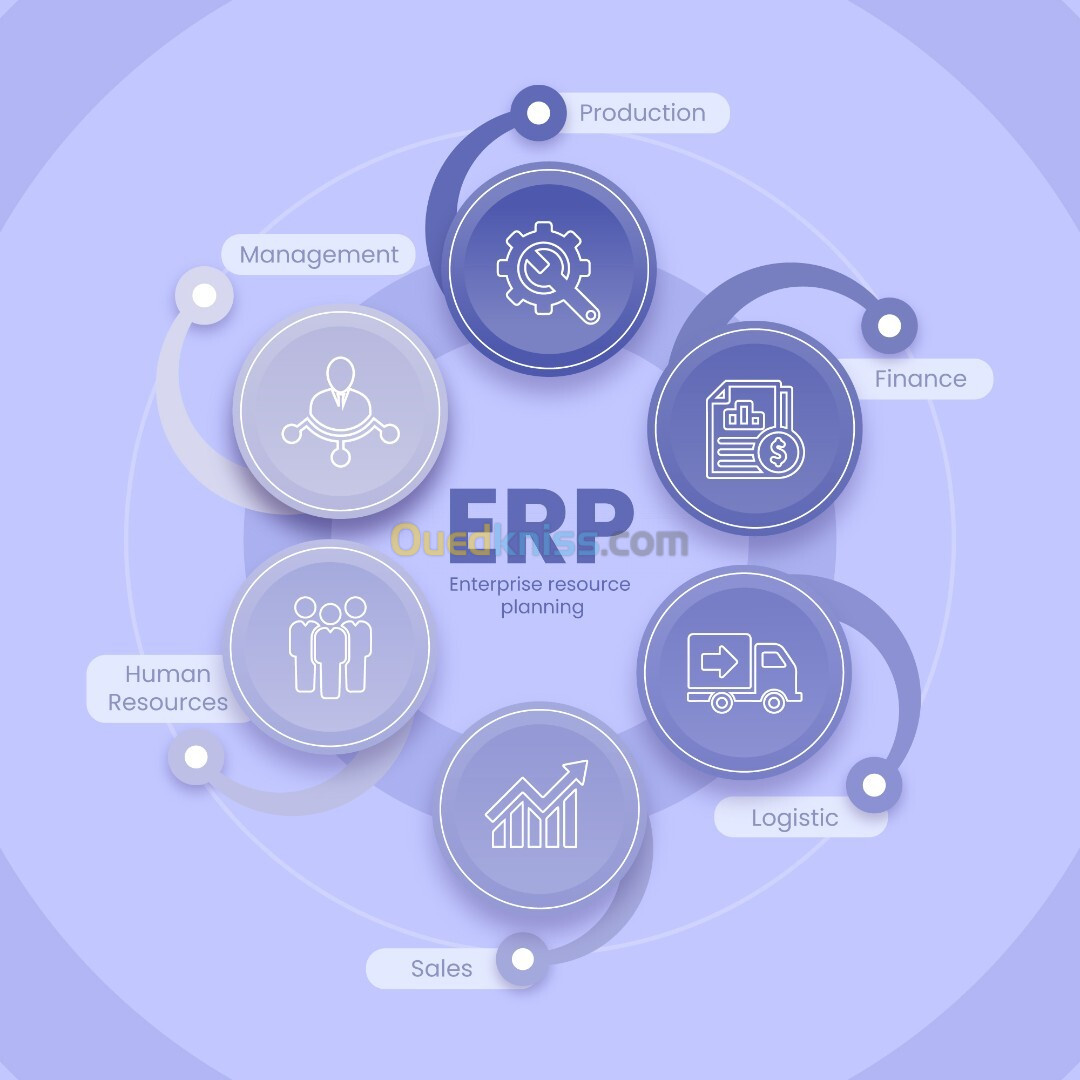 Conception, développement et intégration de solutions CRM/ERP sur mesure