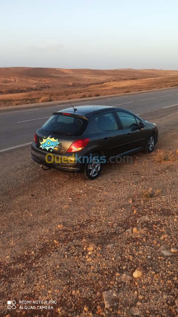 Peugeot 207 2010 207