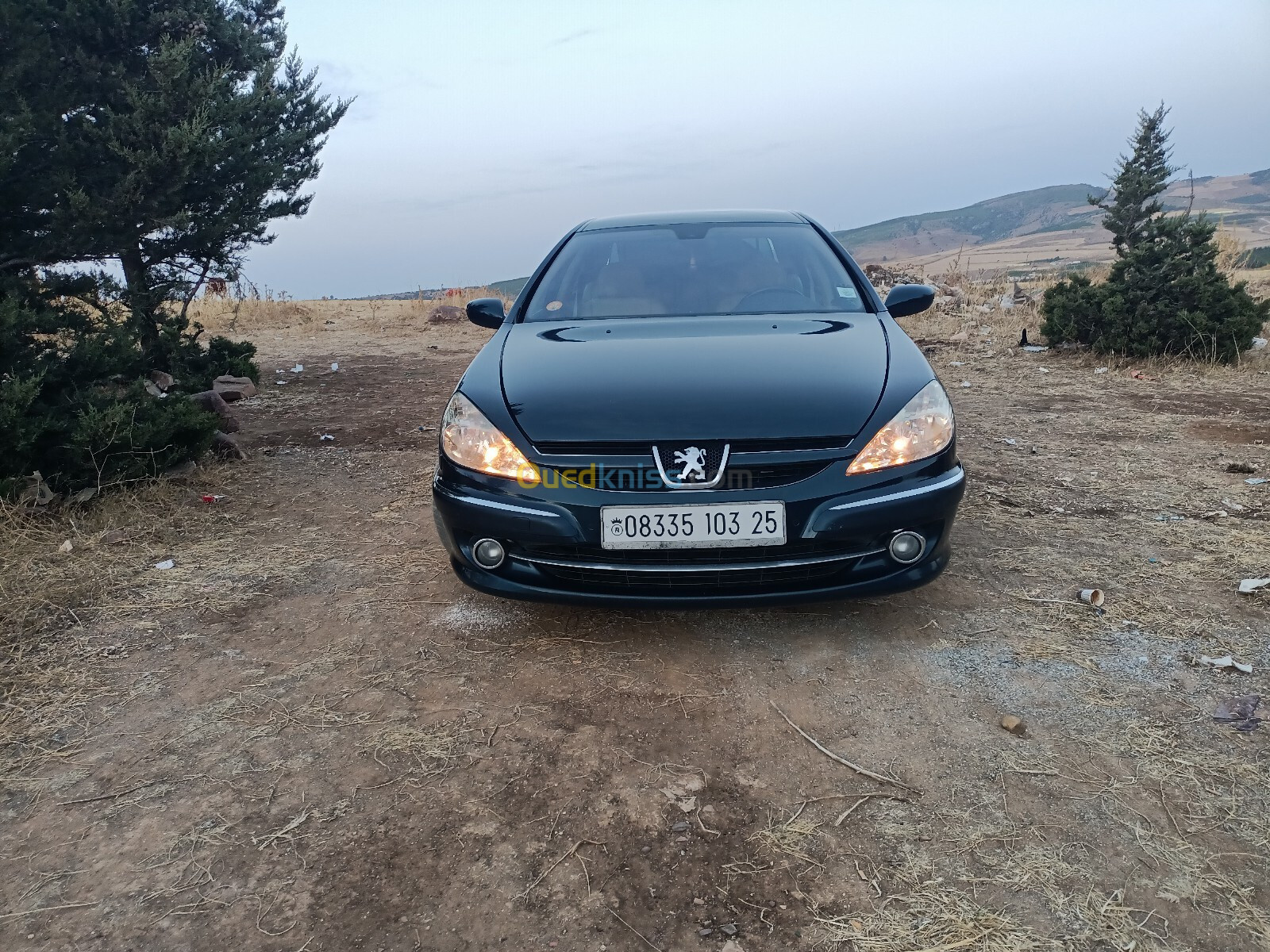 Peugeot 607 2003 