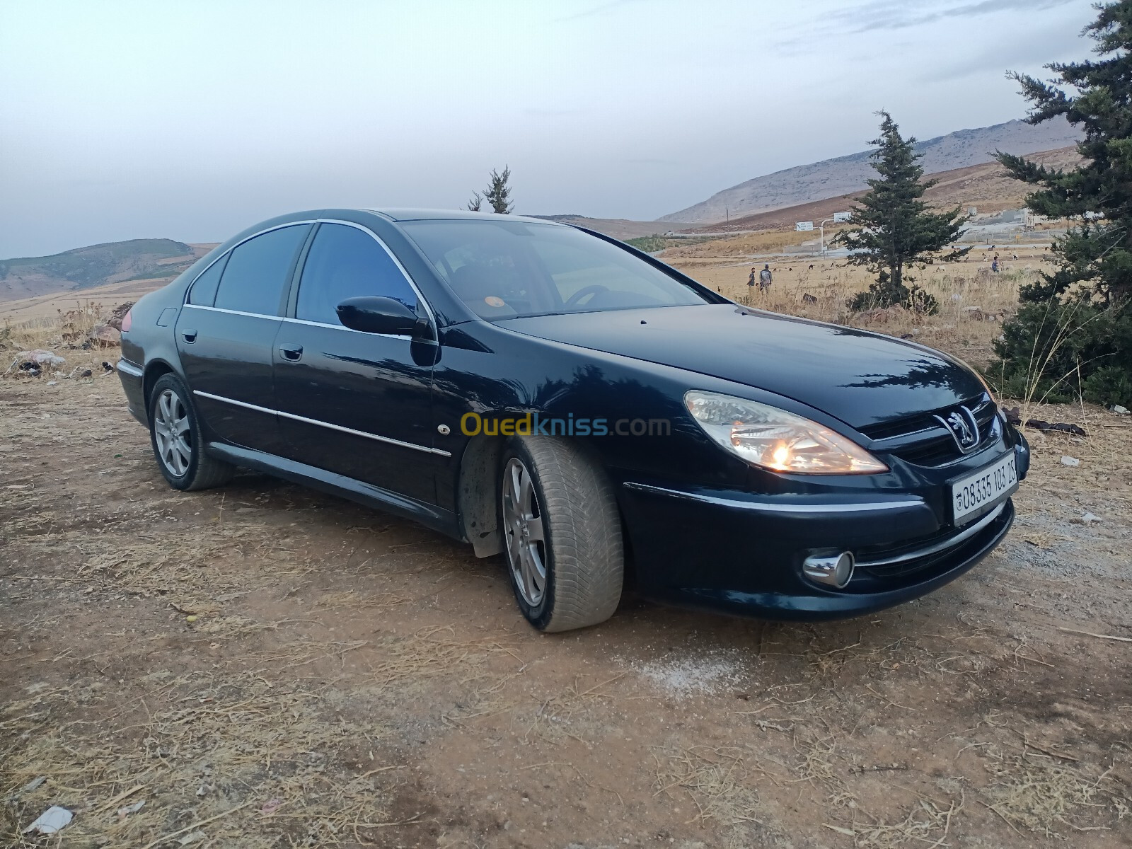 Peugeot 607 2003 