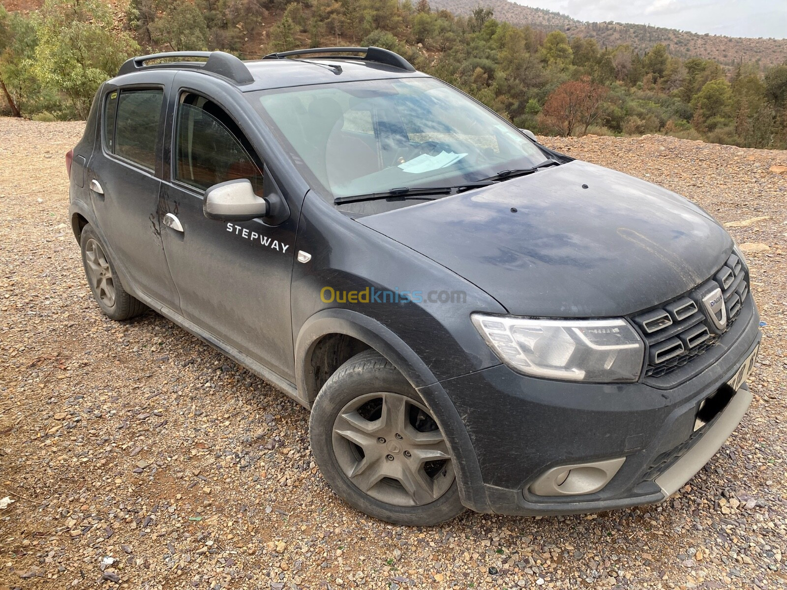 Dacia Sandero 2018 Stepway