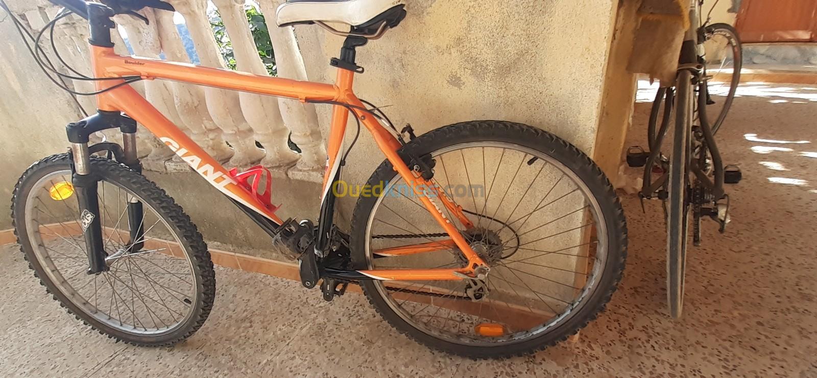 Velo vtt geant 