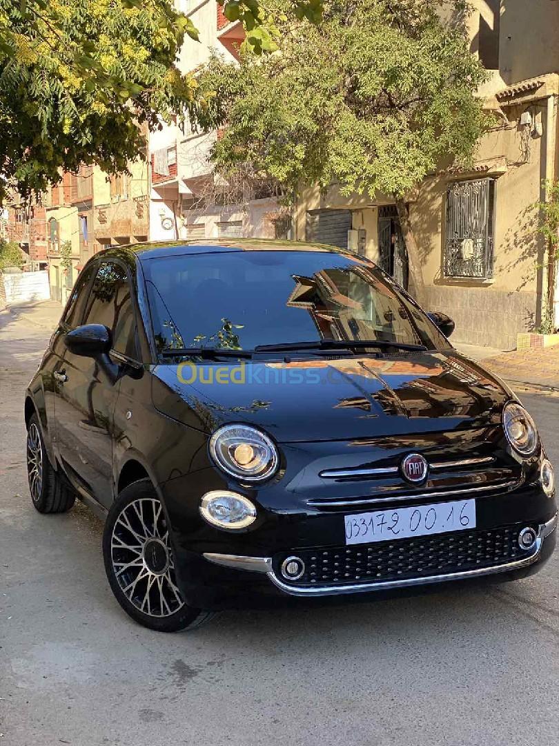 Fiat Fiat 500 2024 Dochivita